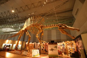 125354718363316304232_IMG_6930